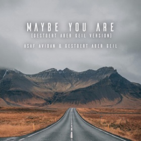 ASAF AVIDAN & GESTÖRT ABER GEIL - MAYBE YOU ARE (GESTÖRT ABER GEIL VERSION)